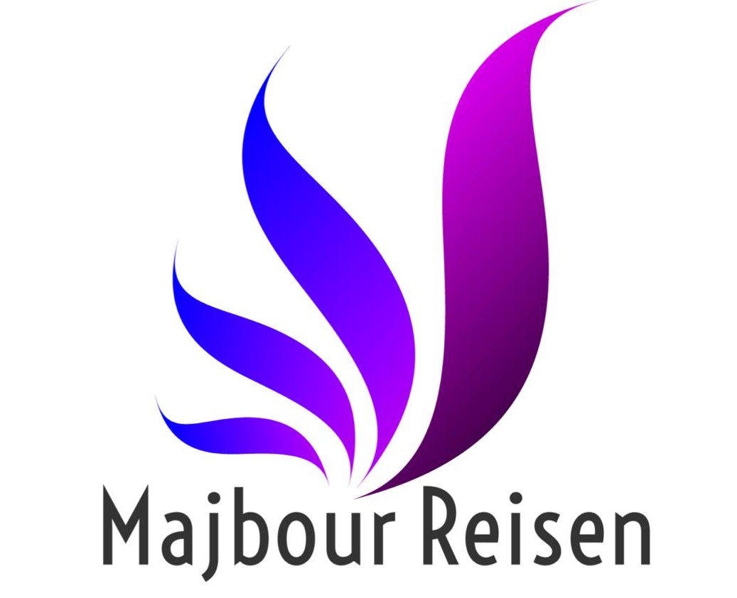 نظام حجز الطيران